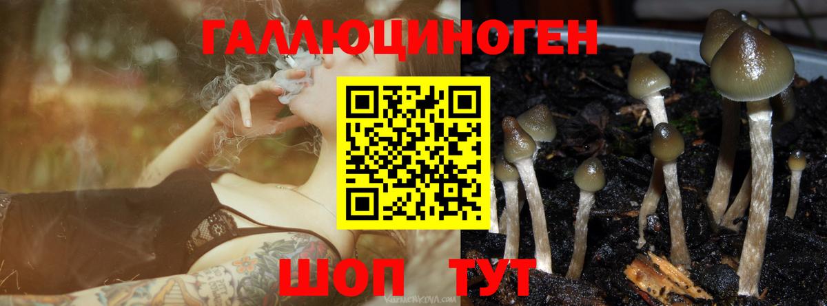 Галлюциногенные грибы MAGIC MUSHROOMS  Вход с VPN  Переславль-Залесский 