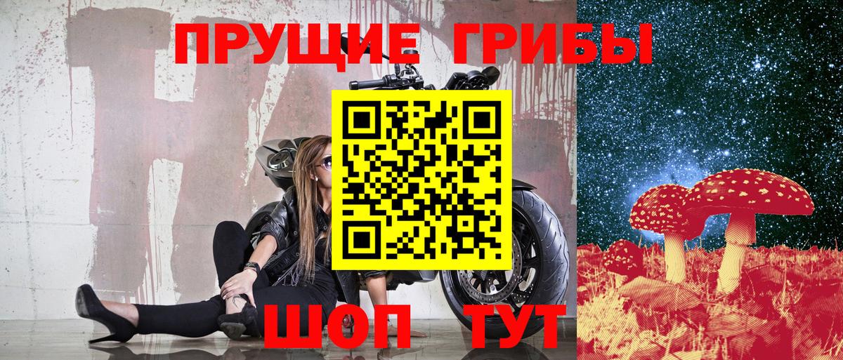 Галлюциногенные грибы мухоморы Переславль-Залесский